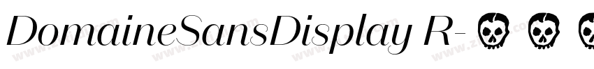 DomaineSansDisplay R字体转换